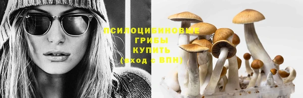 метадон Алексеевка