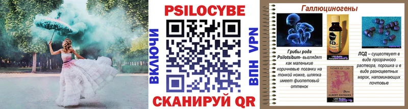 Псилоцибиновые грибы Cubensis Любим