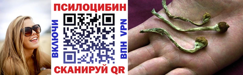 Псилоцибиновые грибы мухоморы  где купить наркоту  Любим 